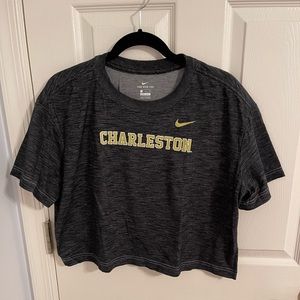 Nike Dry Fit Charleston Cropped T-Shirt (never worn)